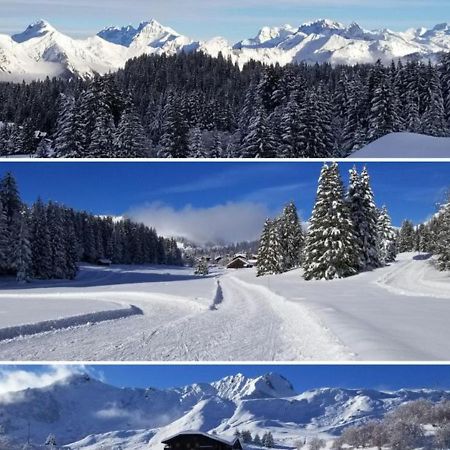 Studio Cabine Praz De Lys Taninges Eksteriør billede