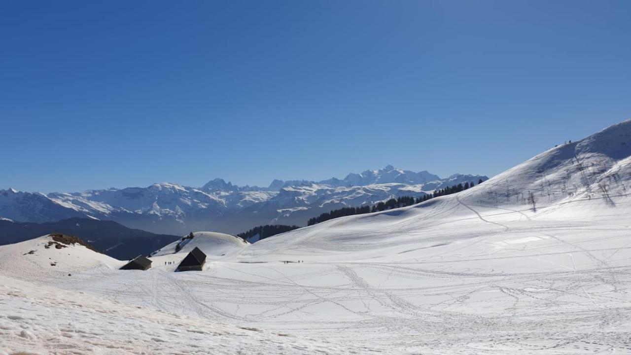 Studio Cabine Praz De Lys Taninges Eksteriør billede